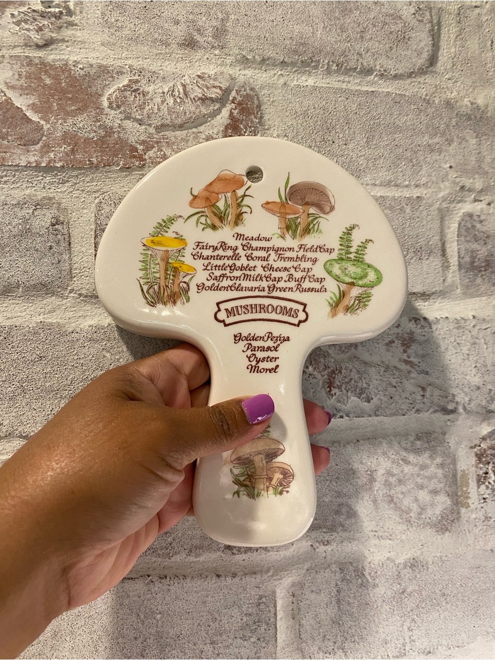 Vintage Avon 1980
Mushroom Table Trivet / Wall Hanging